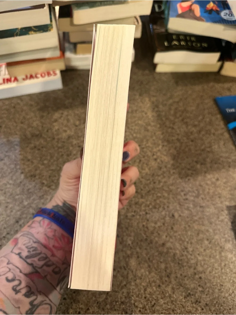 The Christmas Fix Holiday Red Book